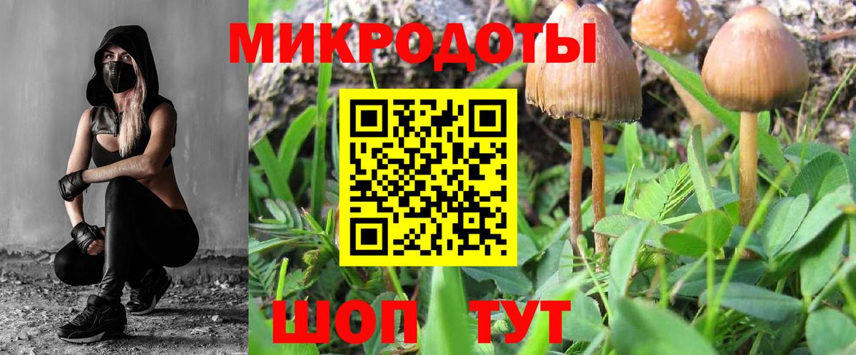 Сухой Лог  Псилоцибиновые грибы Cubensis  Псилоцибиновые грибы Cubensis  Вход с VPN 